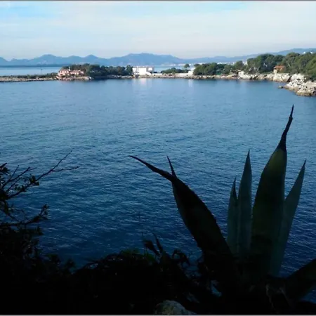 Appartement Studette De Charme Juan-les-Pins